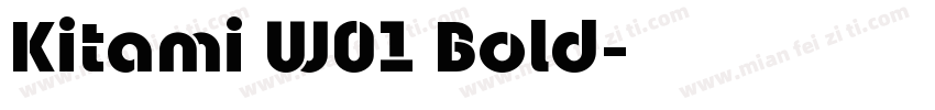Kitami W01 Bold字体转换